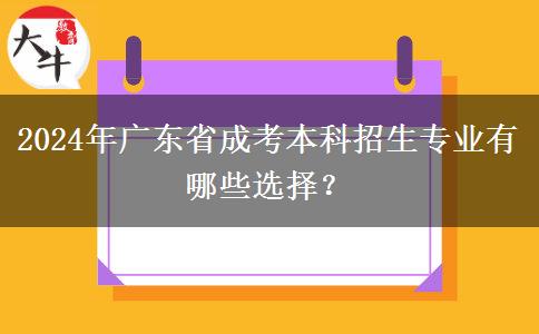 2024年广东省成考本科招生专业有哪些选择？