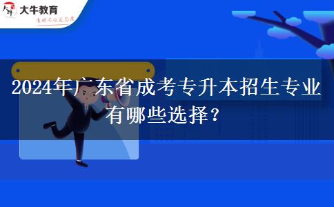 2024年广东省成考专升本招生专业有哪些选择？