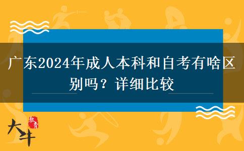 广东2024年成人本科和自考有啥区别吗？详细比较