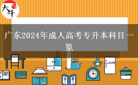 广东2024年成人高考专升本科目一览