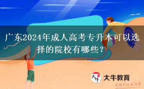 广东2024年成人高考专升本可以选择的院校有哪些