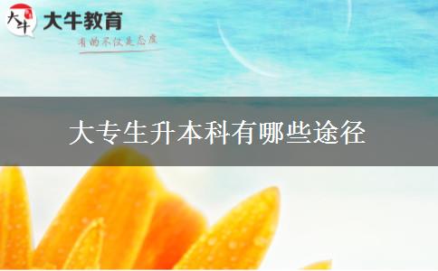 大专生升本科有哪些途径