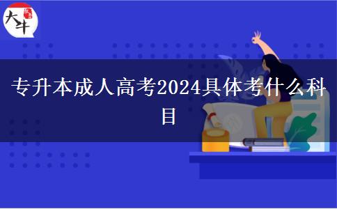 专升本成人高考2024具体考什么科目