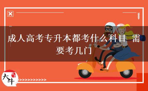 成人高考专升本都考什么科目 需要考几门