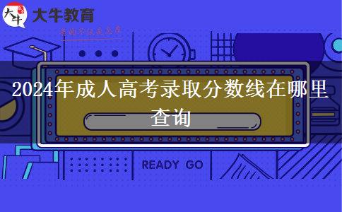 2024年成人高考录取分数线在哪里查询