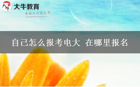 自己怎么报考电大 在哪里报名