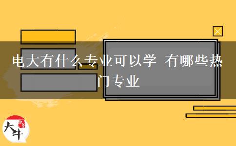 电大有什么专业可以学 有哪些热门专业
