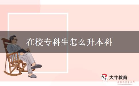 在校专科生怎么升本科