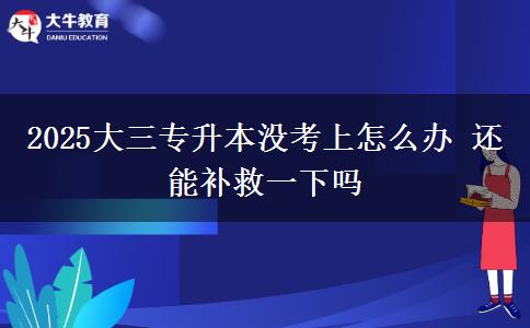 2025大三专升本没考上怎么办 还能补救一下吗