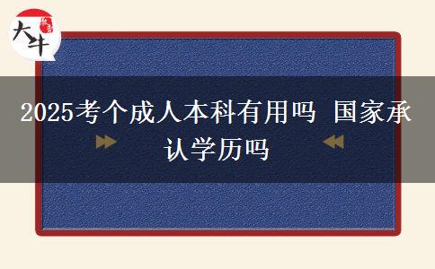 2025考个成人本科有用吗 国家承认学历吗