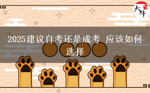 2025建议自考还是成考 应该如何选择