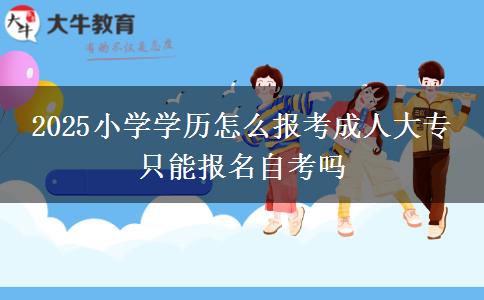 2025小学学历怎么报考成人大专 只能报名自考吗