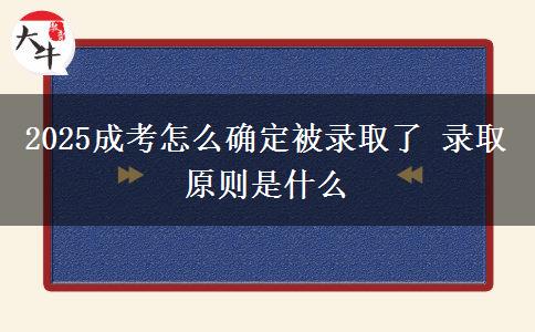 2025成考怎么确定被录取了 录取原则是什么