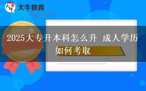 2025大专升本科怎么升 成人学历如何考取