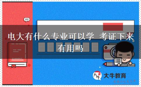 电大有什么专业可以学 考证下来有用吗