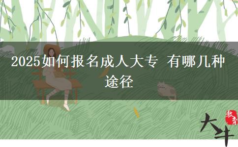 2025如何报名成人大专 有哪几种途径