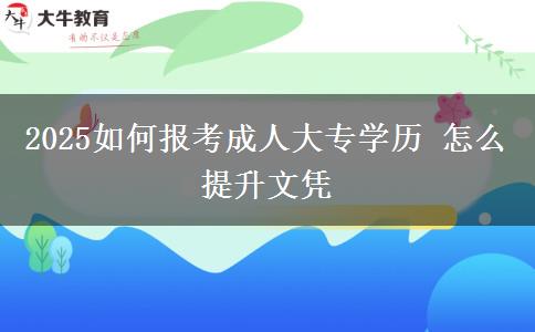 2025如何报考成人大专学历 怎么提升文凭