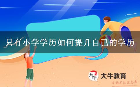 只有小学学历如何提升自己的学历