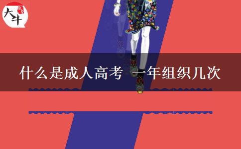 什么是成人高考 一年组织几次