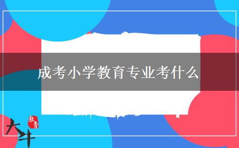 成考小学教育专业考什么