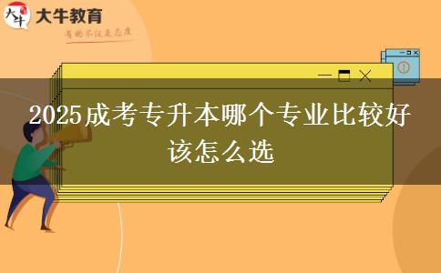 2025成考专升本哪个专业比较好 该怎么选