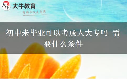 初中未毕业可以考成人大专吗 需要什么条件