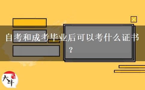 自考和成考毕业后可以考什么证书？