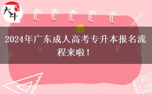 2024年广东成人高考专升本报名流程来啦！
