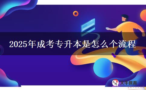 2025年成考专升本是怎么个流程