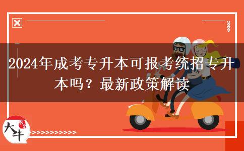 2024年成考专升本可报考统招专升本吗？最新政策解读