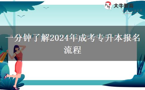 一分钟了解2024年成考专升本报名流程
