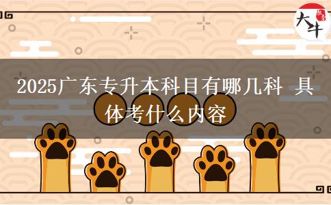 2025广东专升本科目有哪几科 具体考什么内容