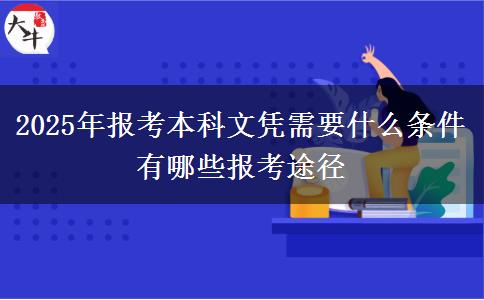 2025年报考本科文凭需要什么条件 有哪些报考途径