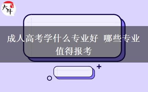 成人高考学什么专业好 哪些专业值得报考
