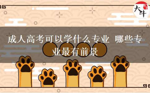 成人高考可以学什么专业 哪些专业最有前景