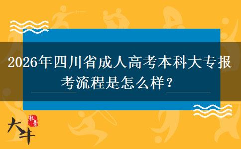 2026年四川省成人高考本科大专报考流程是怎么样