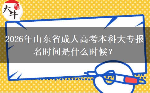 2026年山东省成人高考本科大专报名时间是什么时候？