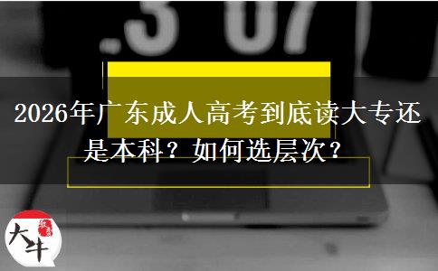 2026年广东成人高考到底读大专还是本科？如何选层次？