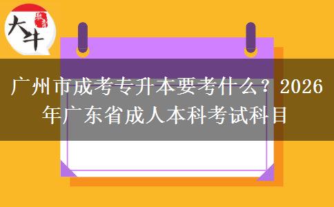 广州市成考专升本要考什么？2026年广东省成人本科考试科目