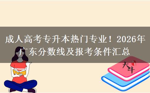 成人高考专升本热门专业！2026年广东分数线及报考条件汇总