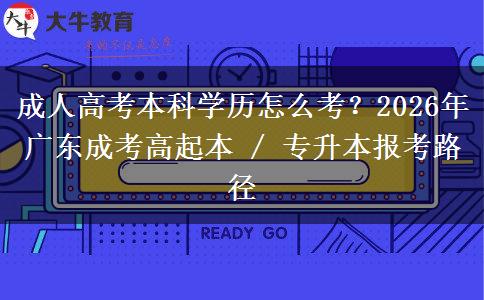 成人高考本科学历怎么考？2026年广东成考高起本 / 专升本报考路径