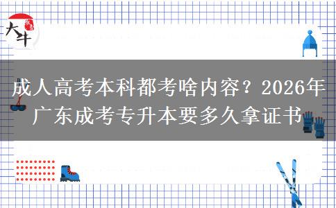 成人高考本科都考啥内容？2026年广东成考专升本要多久拿证书