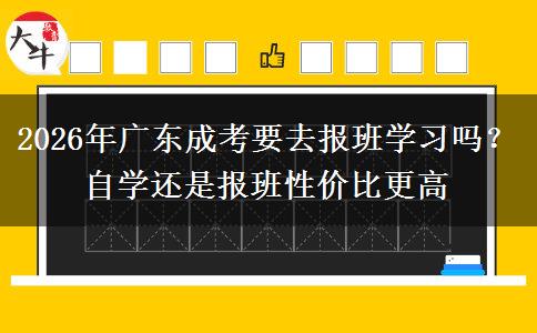 2026年广东成考要去报班学习吗？自学还是报班性价比更高