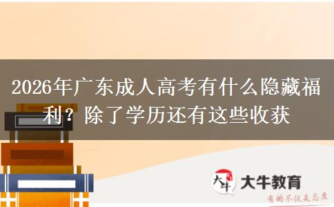 2026年广东成人高考有什么隐藏福利?除了学历还有这些收获 2026年广东成人高考有什么隐藏福利?除了学历还有这些收获