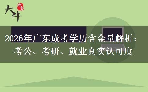 2026年广东成考学历含金量解析：考公、考研、就业真实认可度