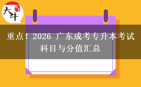 重点！2026 广东成考专升本考试科目与分值汇总