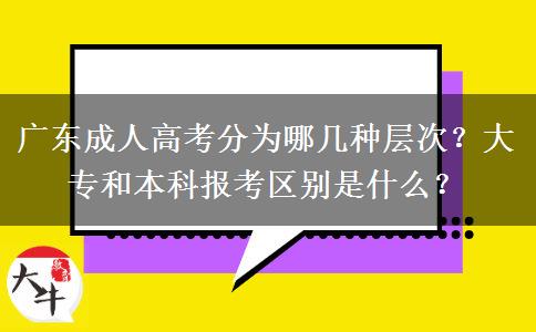 广东成人高考分为哪几种层次？大专和本科报考区别是什么？