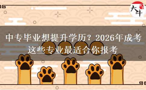 中专毕业想提升学历？2026年成考这些专业最适合你报考