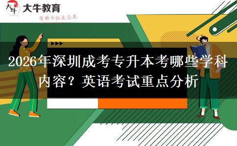 2026年深圳成考专升本考哪些学科内容？英语考试重点分析