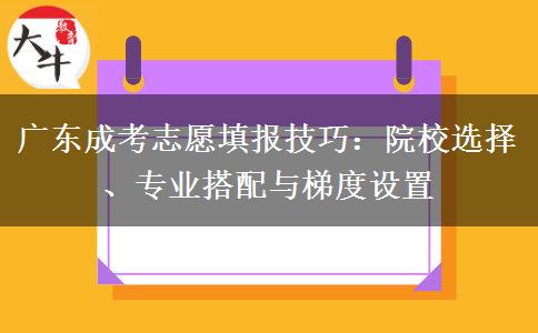 广东成考志愿填报技巧：院校选择、专业搭配与梯度设置